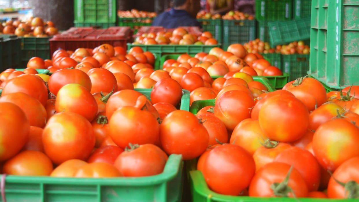 Food items became expensive due to the wastage of vegetables in the fields due to rain