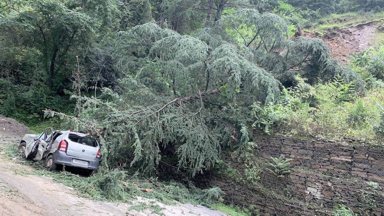 Deodar tree fell on moving car in Kotkhai, one person died, another injured