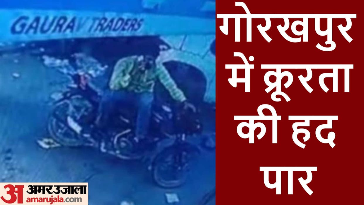 six dogs poisoned one was burnt alive then traders got angry In Gorakhpur
