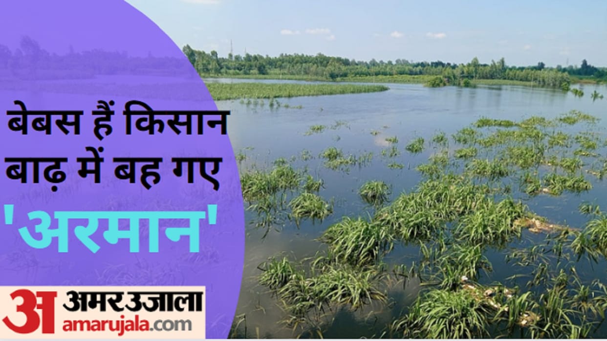 Meerut News: Flood in villages situated on banks of Hindon and Kali river, crops of farmers were ruined