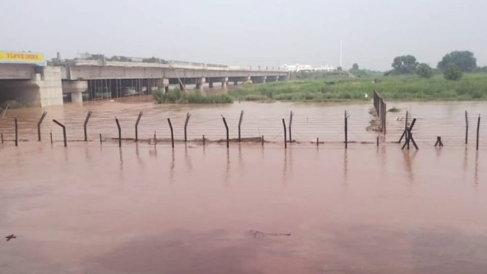 Punjab Flood Update News, Ujj Daria overflowed in Gurdaspur