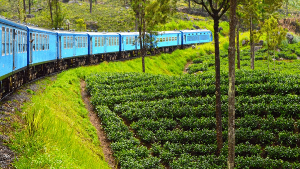 Green Belt: No dirt on the side of the railway tracks, colorful flowers will be seen, Railways asked for appl