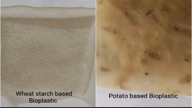 St. John College Students Made Bio-plastic From Potato Peels And Wheat ...