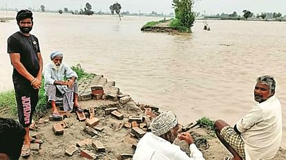 Punjab News: अमृतसर के सीमावर्ती इलाकों में घुसा बाढ़ का पानी, फिरोजपुर में सतलुज नदी का तटबंध टूटा Flood water entered the border areas of Amritsar