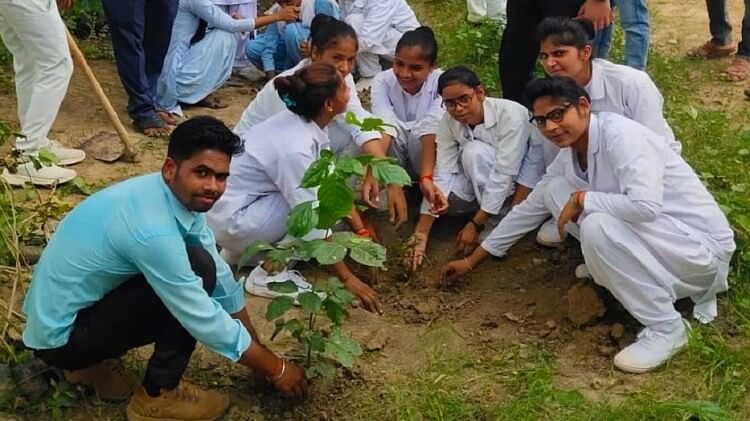 Plantation: 22 जुलाई को हाथरस में लगेंगे 20 लाख से अधिक पौधे, ग्राम्य विकास विभाग करेगा सबसे ज्यादा पौधारोपण