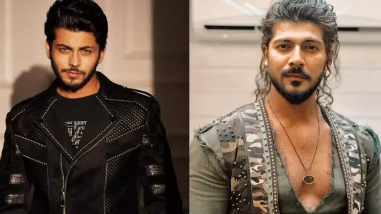 Abhishek Nigam Reveals Sheezan Khan called him after he took up the role of Ali Baba Actor thanked him