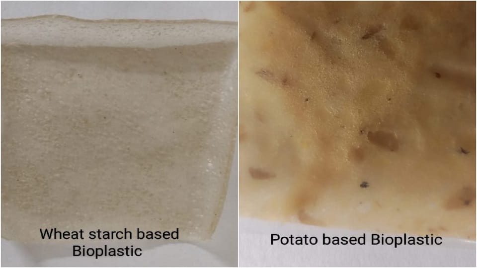 St. John College students made bio-plastic from potato peels and wheat stalks