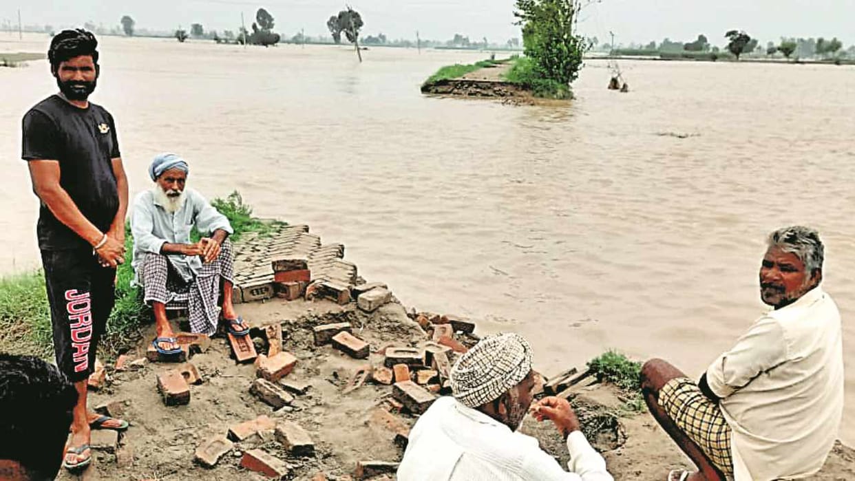 Flood water entered the border areas of Amritsar