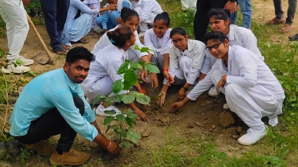 More than 20 lakh saplings will be planted in Hathras on July 22
