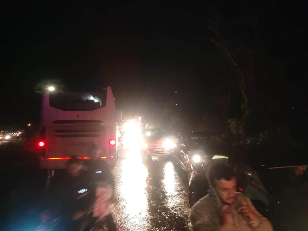 Trees fell due to rain and storm on Bhopal-Indore road, hundreds of vehicles stuck in jam