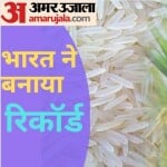 बासमती चावल।