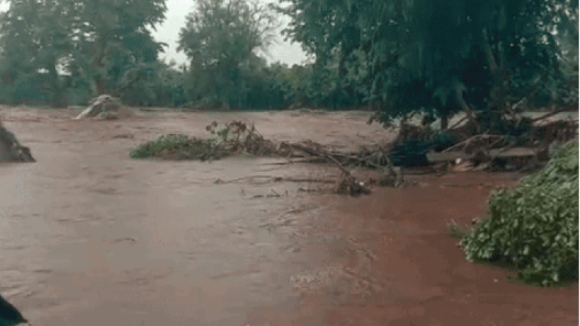 MP Monsoon Update: Monsoon rains, water reaches Mahakal temple, Tapti in Burhanpur on danger mark