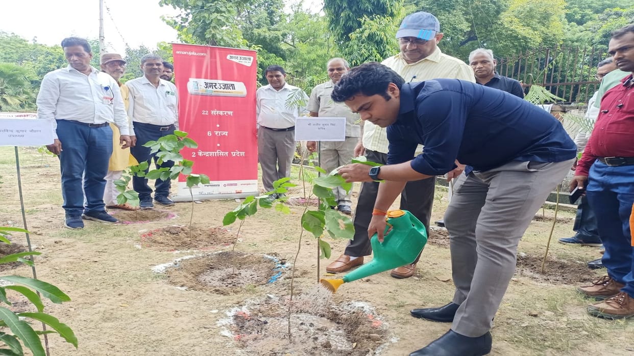 Plantation done by Amar Ujala Foundation, saplings planted along with PDA on MG Marg