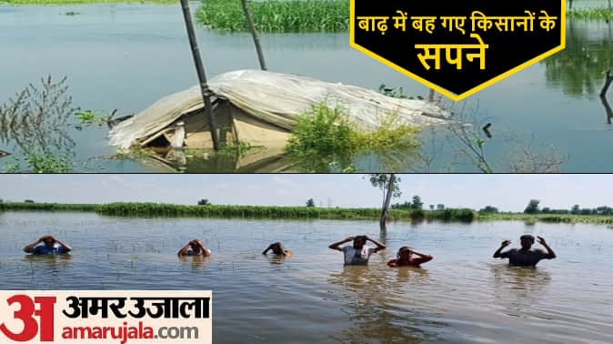 Baghpat: Hindon ruined crop worth crores, livelihood crisis in front of farmers, many villages still submerged