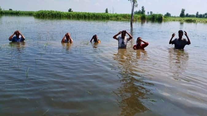 Baghpat: Hindon ruined crop worth crores, livelihood crisis in front of farmers, many villages still submerged