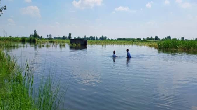 Baghpat: Hindon ruined crop worth crores, livelihood crisis in front of farmers, many villages still submerged