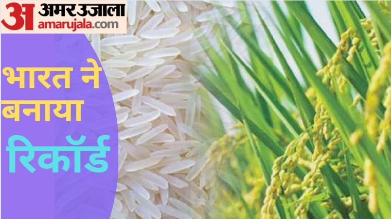 Meerut Amar Ujala Report: Basmati rice of India was record export in 150 countries
