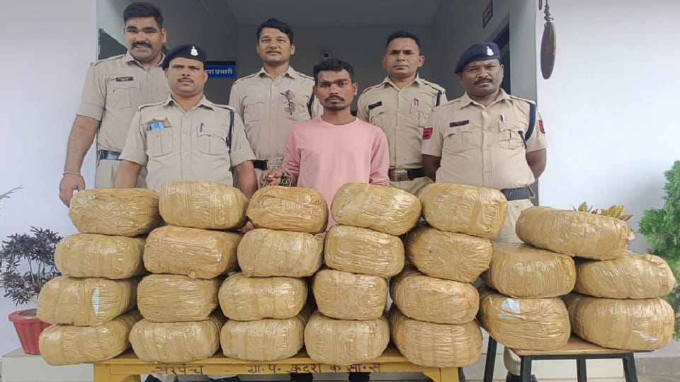 Police arrested a smuggler with cannabis worth Rs 10 lakh