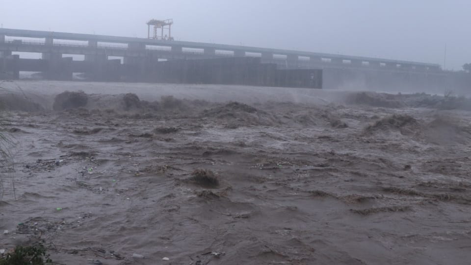 Yamuna river on rise again: difficulties may increase in Delhi-NCR