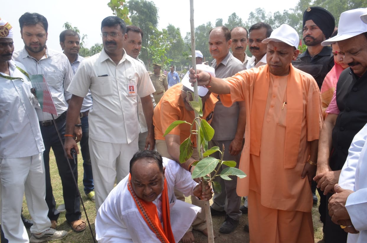Record plantation in Uttar Pradesh.