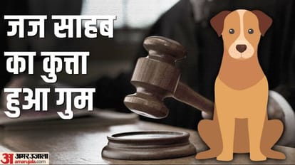 High court judge loses pet dog lets out anger on police Suspend policemen and report in three weeks