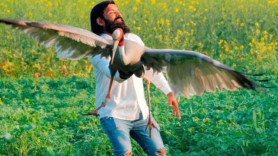 Arif will go to the High Court to free the stork