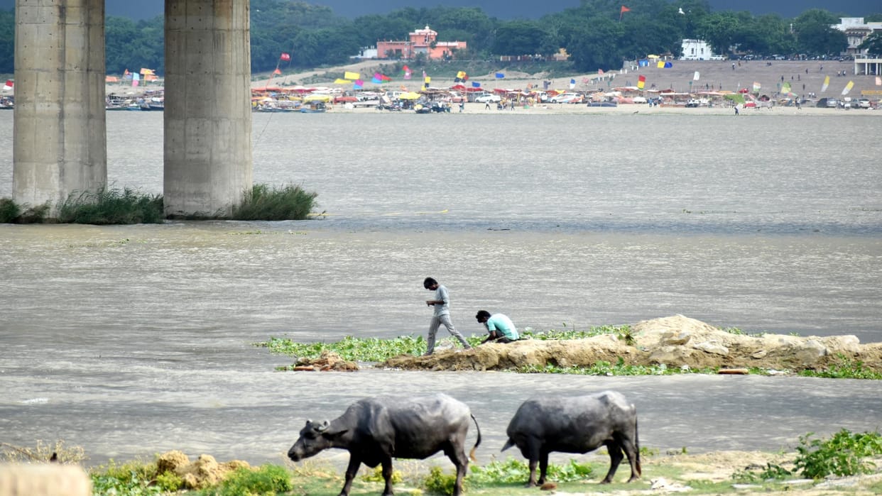 Ganga-Yamuna water increased from settlements, dead bodies buried in sand started coming out, increased monito