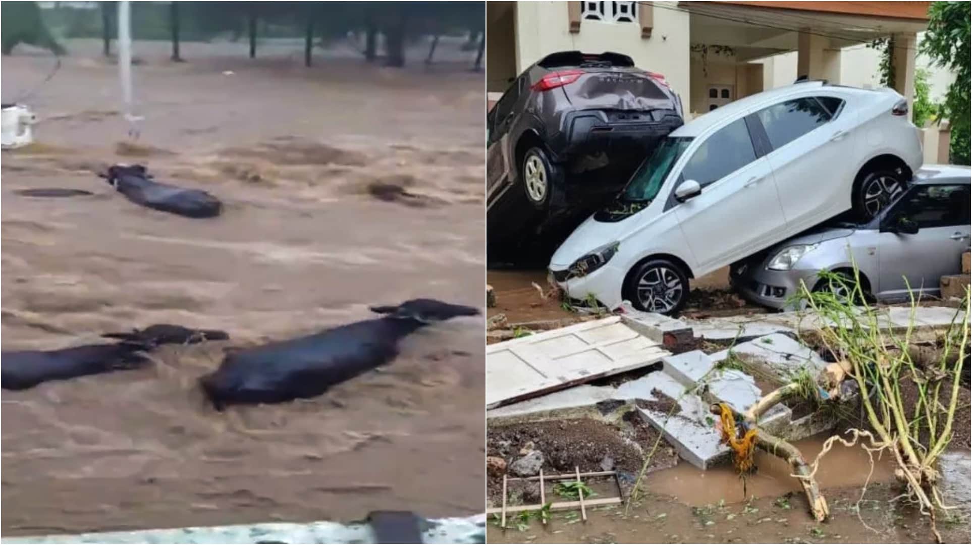 Gujarat: Severe waterlogging witnessed in parts of Junagadh due to torrential rain