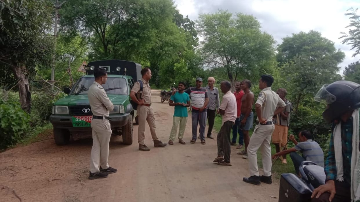 Katni News: Tiger seen on the way to the farmer returning from the farm saved his life by climbing the tree