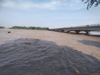 UP: Yamuna water level rises again in Shamli, condition of Lakshmipura village tough