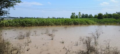 UP: Yamuna water level rises again in Shamli, condition of Lakshmipura village tough