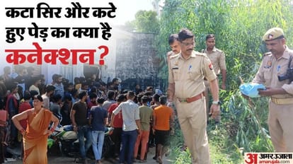 Brutally murdered in Bareilly killer hated young man very much grass was spread in five meter field