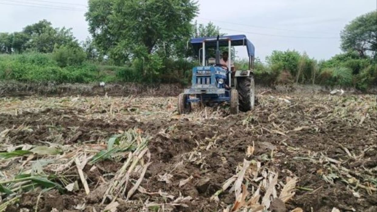 Sonipat: Maize ruined by flood, farmer ran tractor on crop