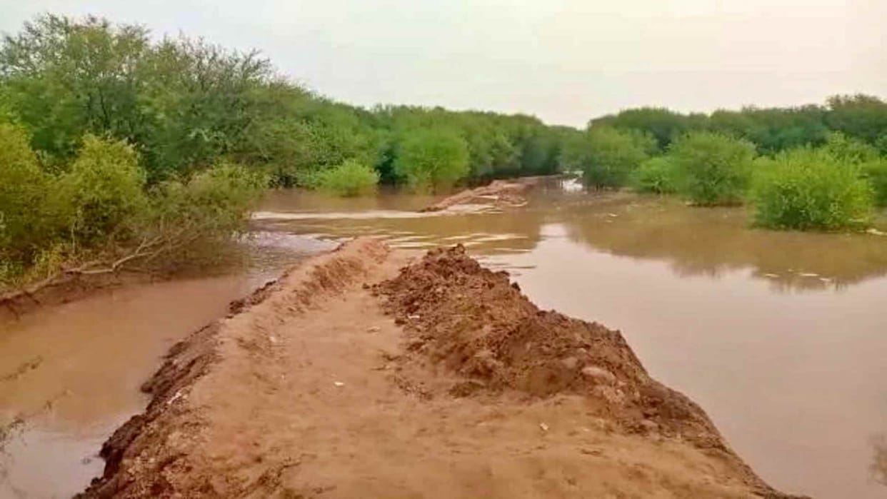 Frontline dam of Ghaggar river breached in Suratgarh in Rajasthan