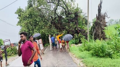 weather changed after rain in bareilly