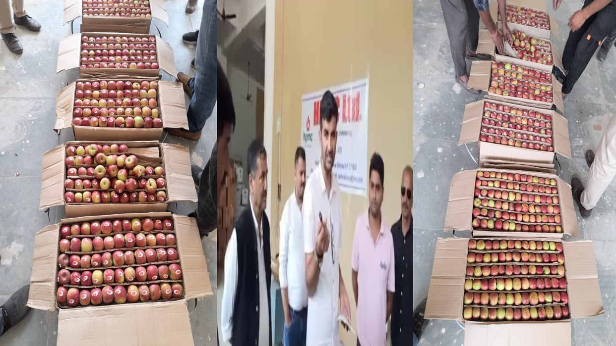 HPMC starts apple procurement, for the first time farmers will be paid in 24 hours