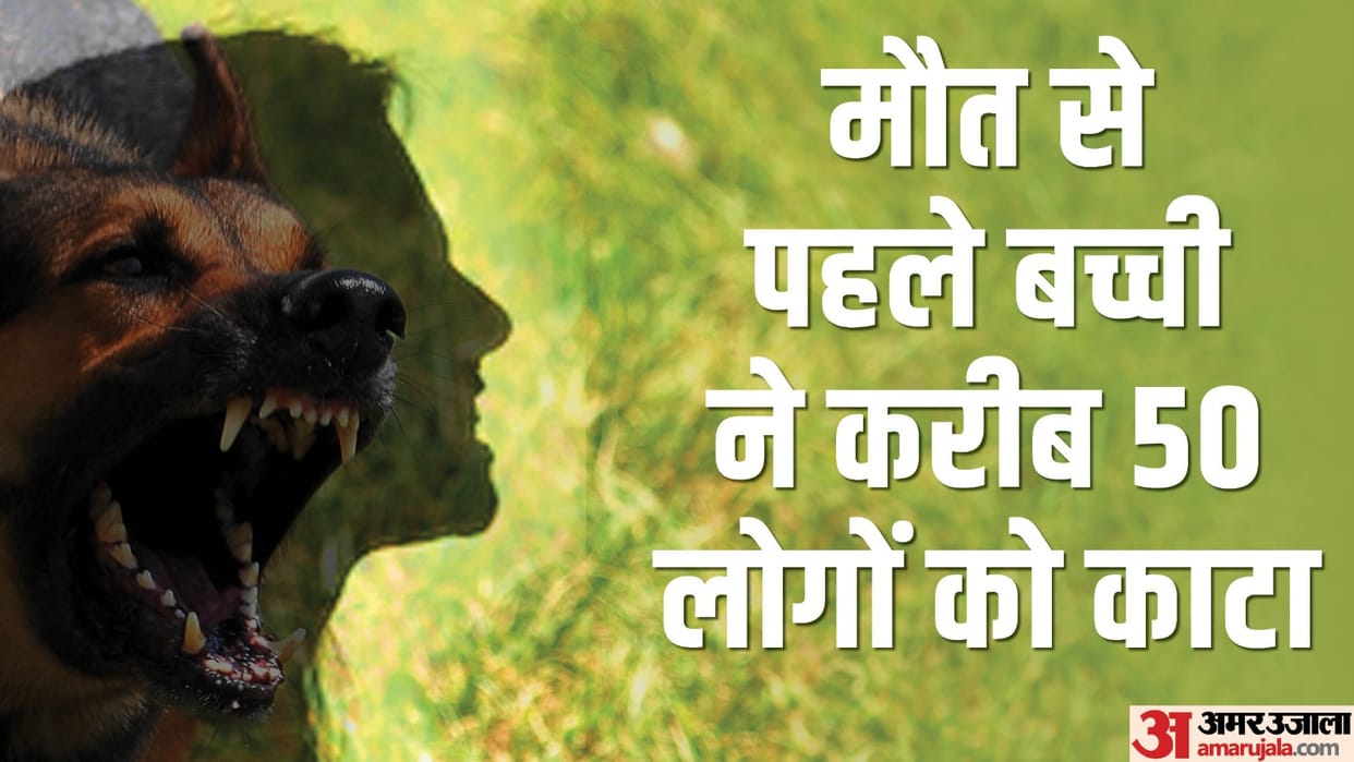 Two and a half year old girl died due to rabid dog bite girl bitten around 50 people before she died in Jalaun