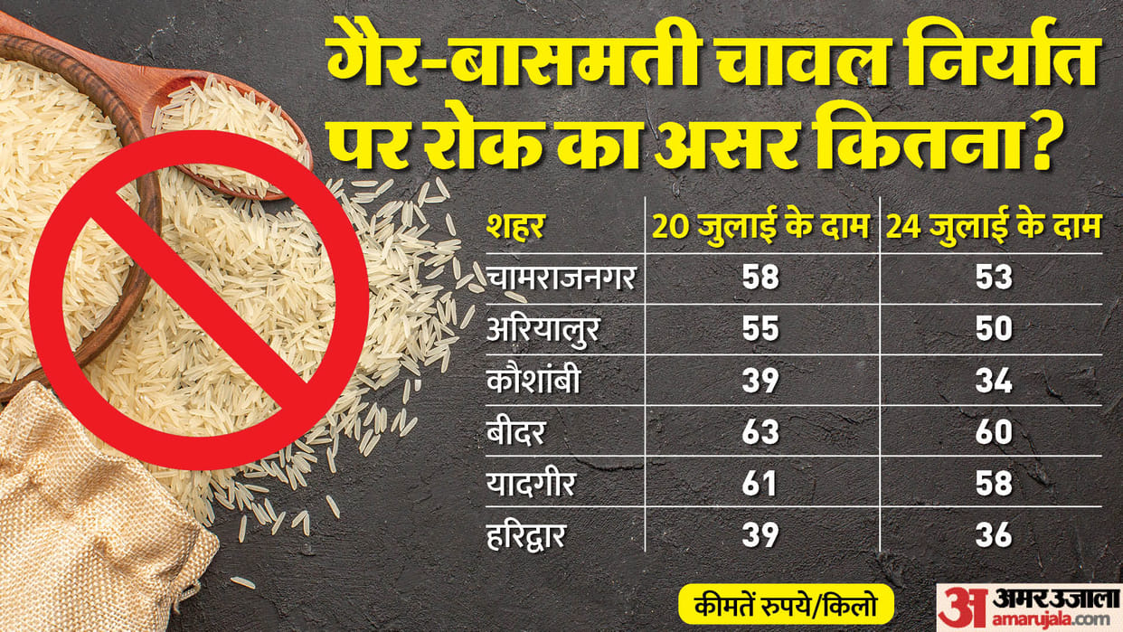 Non-Basmati Rice Export Ban Impact and why the NRIs in US-Canada are bringing dozens of bags to home