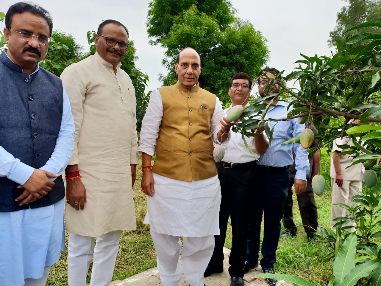 varieties of mango in lucknow