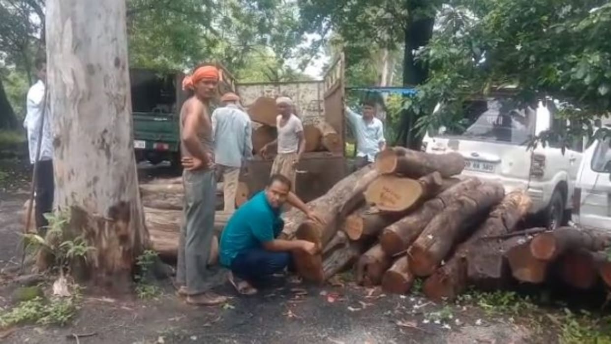 Sagar News Pickup vehicle caught while smuggling teak 17 pieces of teak logs seized