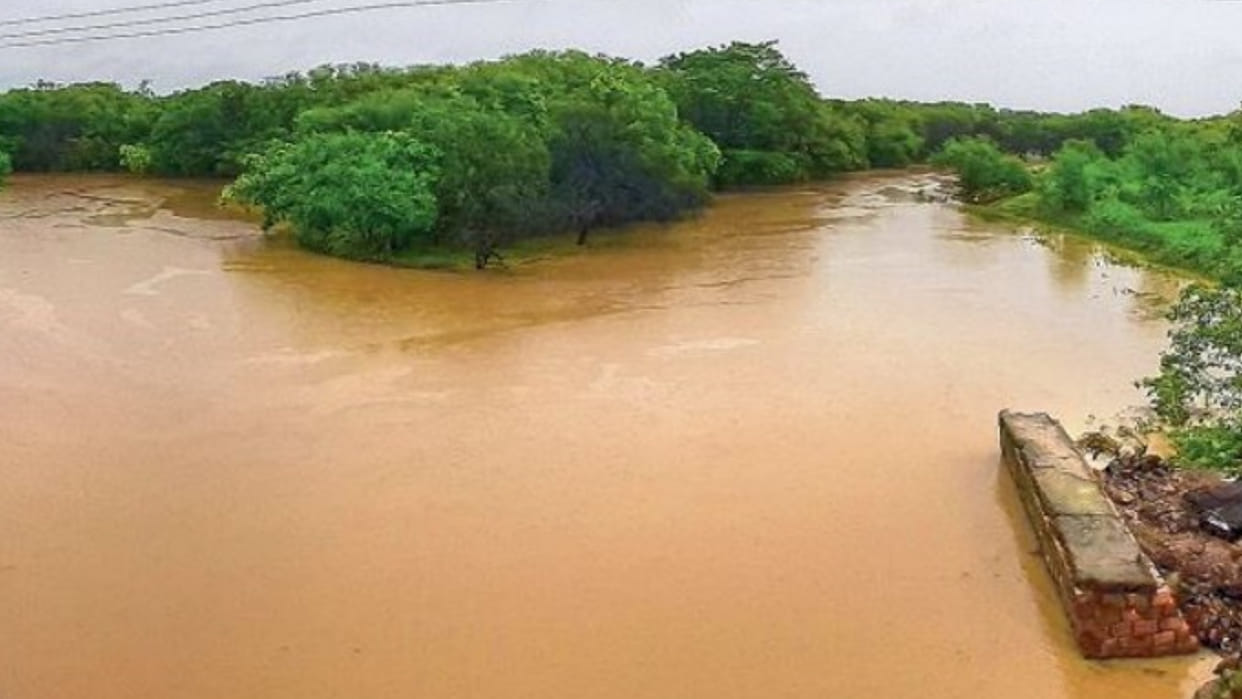 Ujjain News: An elderly man died after falling into a plot full of water