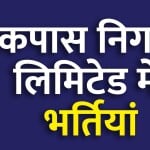 CCIL Recruitment 2023