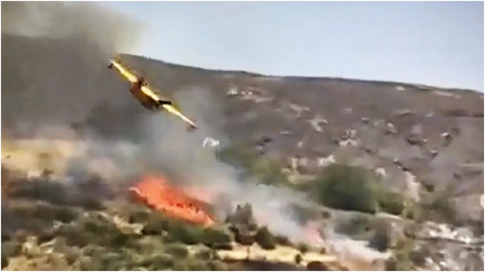 Video: Firefighting Plane's Wing Clips Tree, Crashes Seconds Later ...