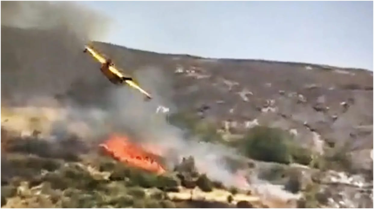 Video: Firefighting Plane's Wing Clips Tree, Crashes Seconds Later