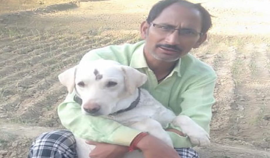 dog set an example of loyalty, saving the lives of its owner's family by giving its life.