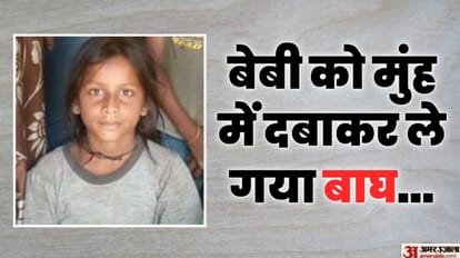 Tiger attacked 10 year old girl in Pilibhit dead body found in forest