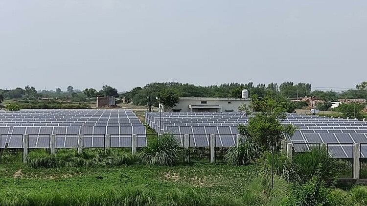 Solar: भारत ने 76% तक घटाया चीन से सोलर मॉड्यूल का आयात, घरेलू स्तर पर बढ़ा विनिर्माण, जानें क्या हैं आंकड़े