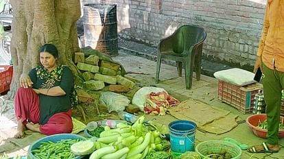 Now thieves are liking expensive vegetables, stealing two carat tomatoes and other vegetables in Hamirpur