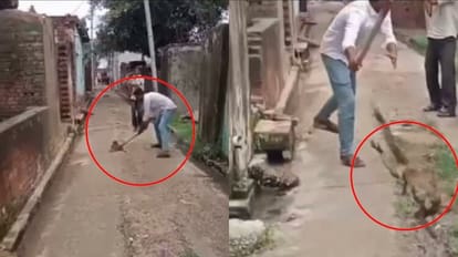 man brutally kills monkey in Badaun