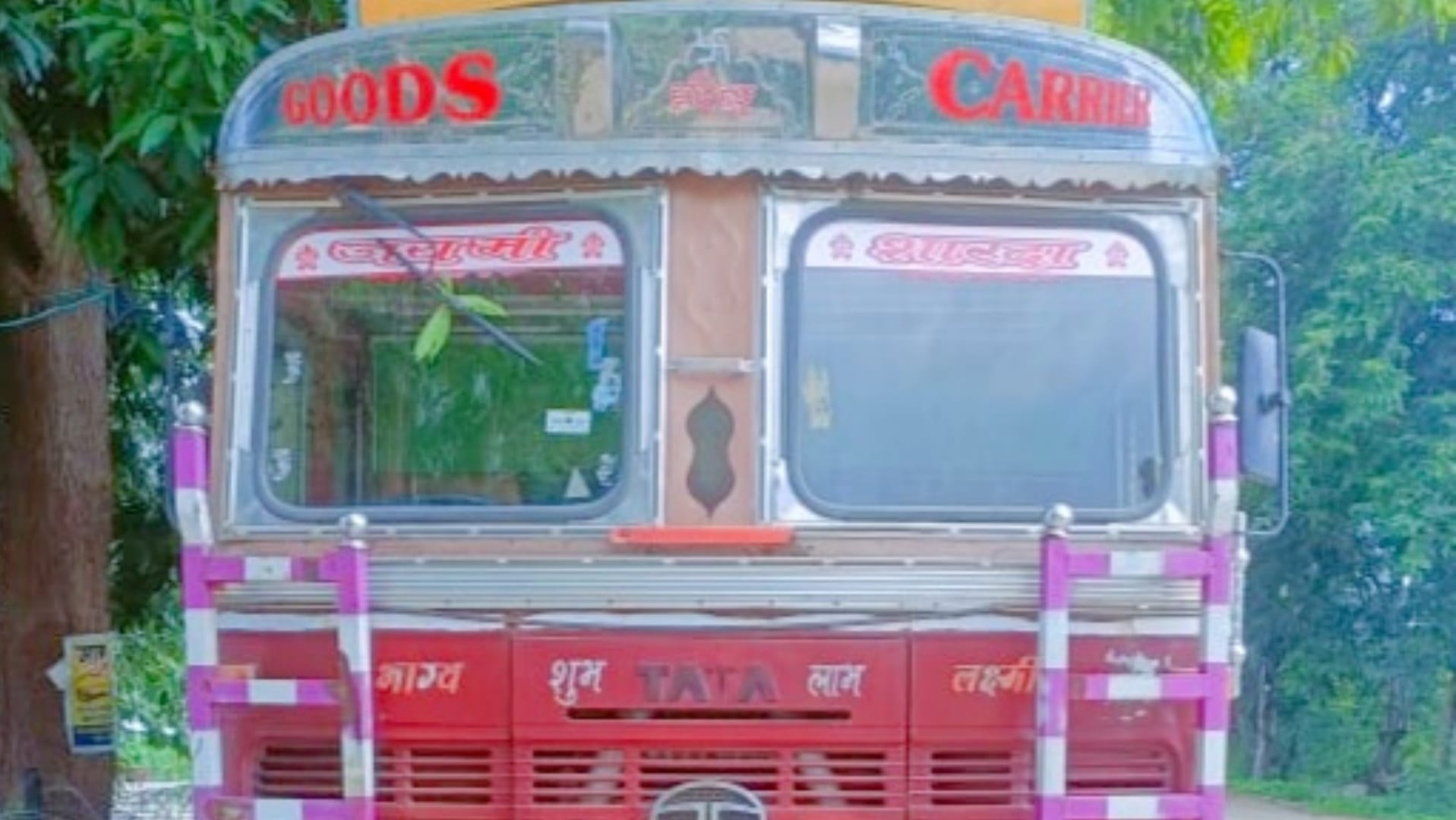 तस्करी में पकड़ा गया ट्रक।